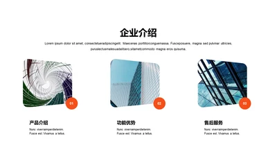 单色扁平3项企业介绍