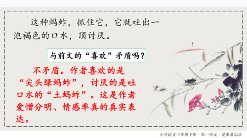 4昆虫备忘录   课件