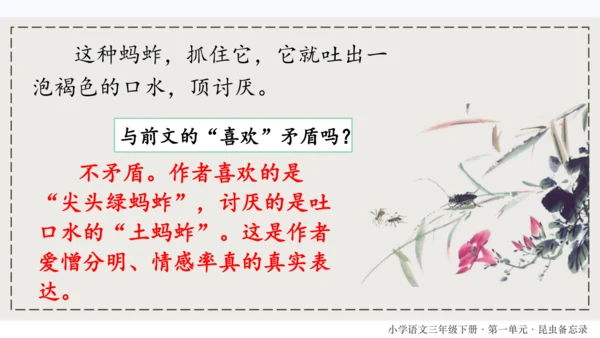 4昆虫备忘录   课件