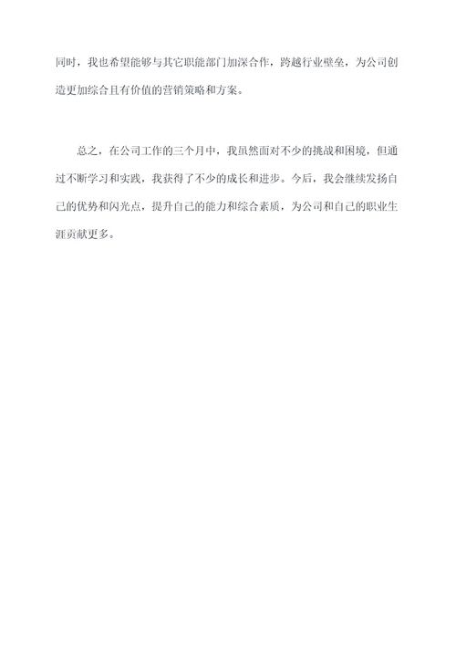 正式入职的个人总结