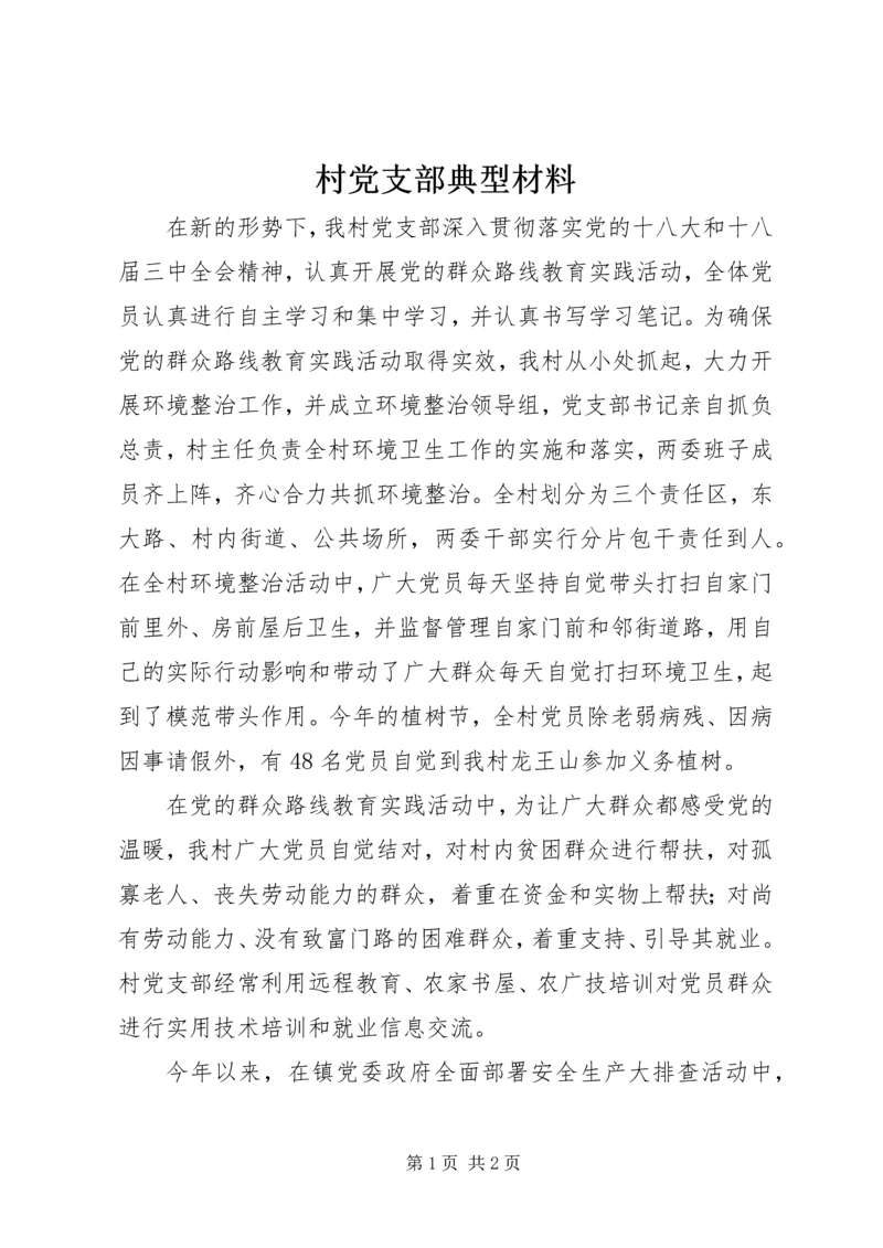 村党支部典型材料.docx