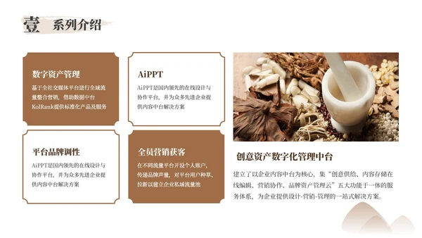棕色中医药产品介绍PPT模板