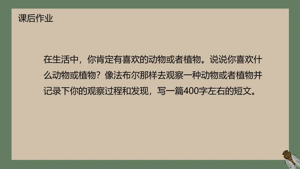 八年级下册蝉课件PPT模板
