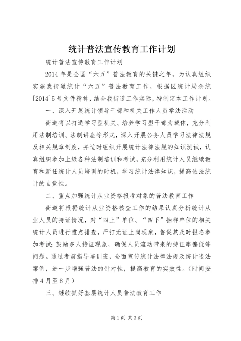 统计普法宣传教育工作计划.docx