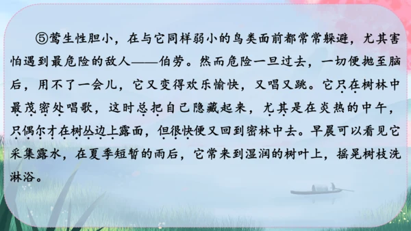 19《大雁归来》课件