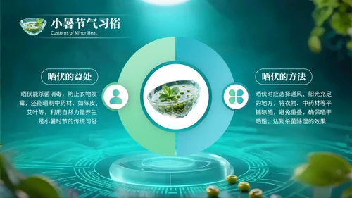 绿色创意风小暑节气讲解节气知识PPT模板