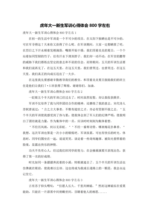 虎年大一新生军训心得体会800字左右.docx