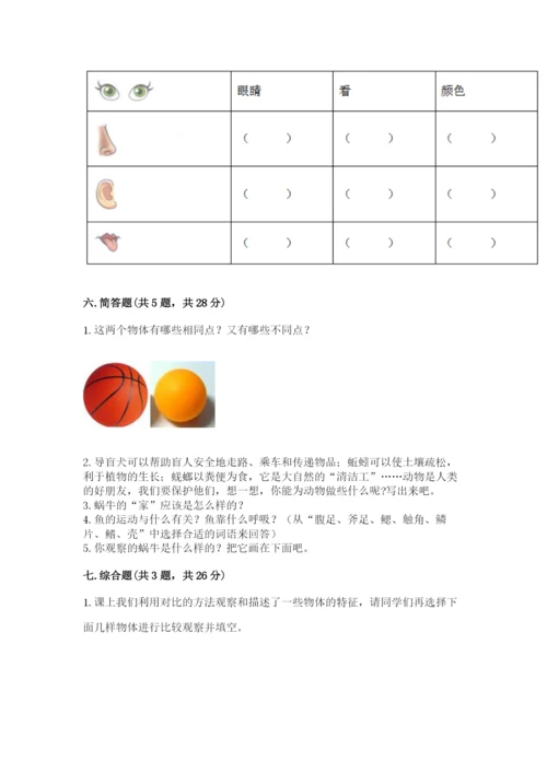 教科版一年级下册科学期末测试卷word版.docx
