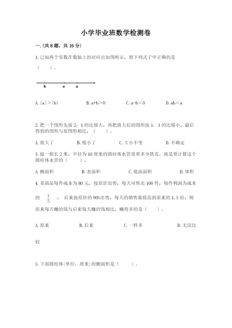 小学毕业班数学检测卷及答案1套.docx