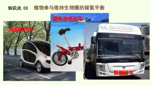 3.2.4植物在自然界中的作用-七年级生物下学期同步精品课件（2024人教版）(共27张PPT)