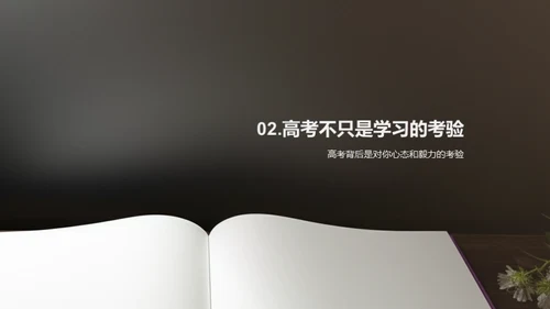 高考全面解析
