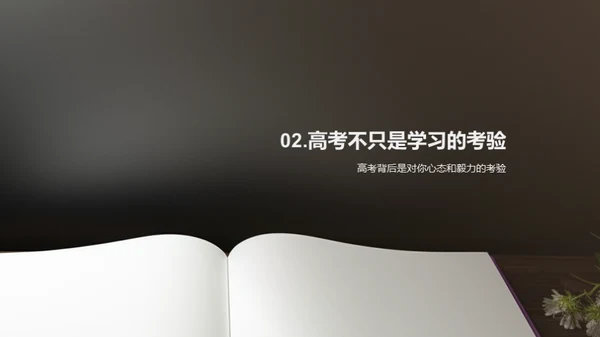 高考全面解析