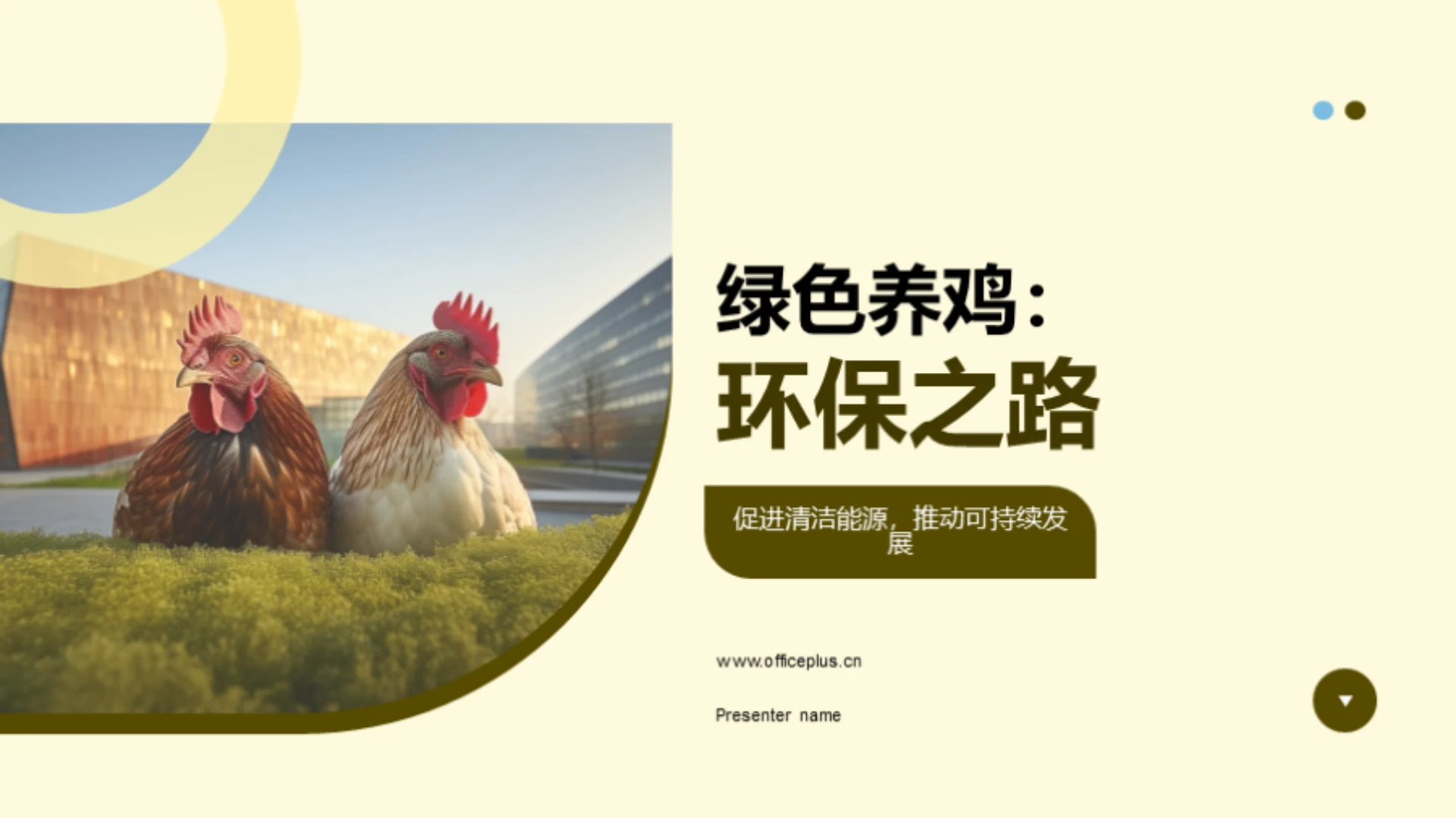 绿色养鸡:环保之路