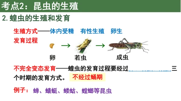 八下 第七单元复习课件(共58张PPT)
