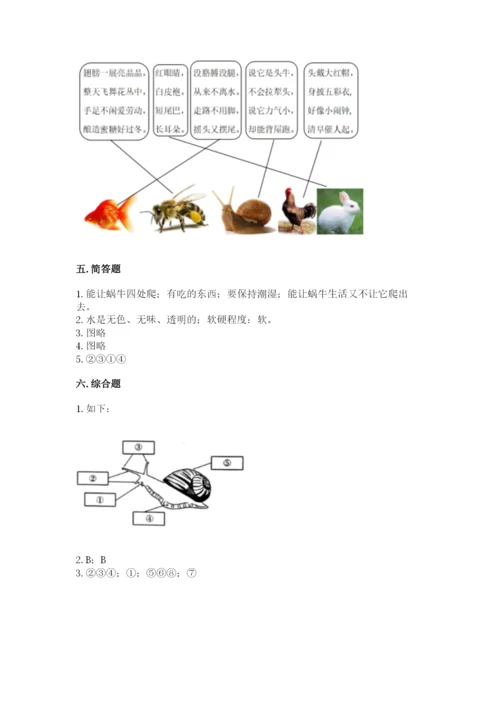 教科版一年级下册科学期末测试卷（重点）.docx