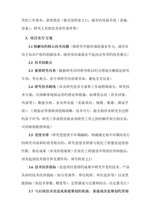 专项项目可行性专题研究报告要求及格式.docx