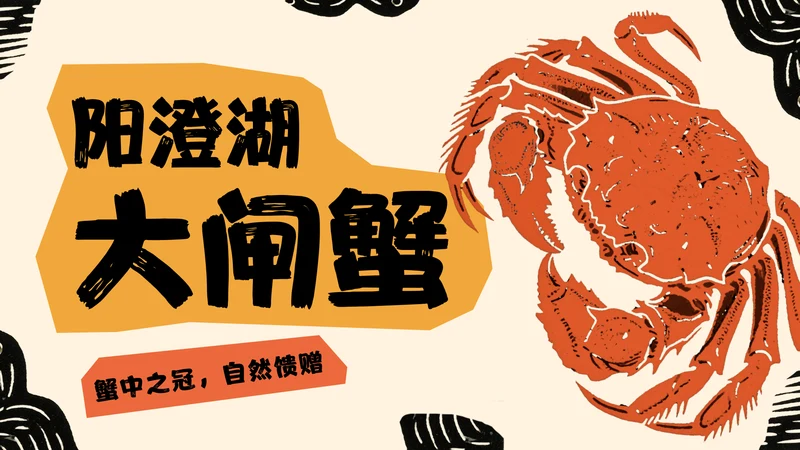 黄橙色手绘中国美食阳澄湖大闸蟹介绍PPT模板