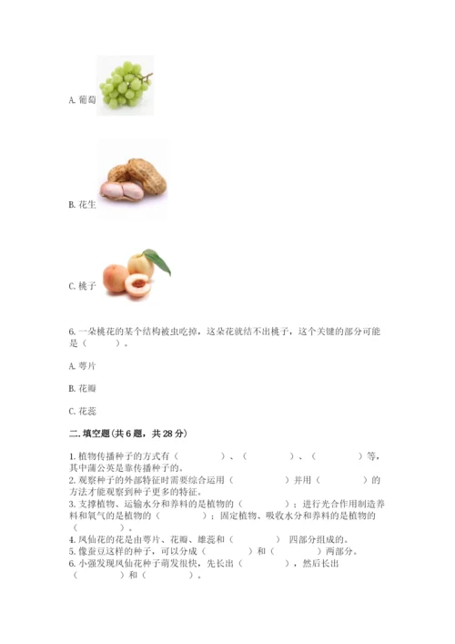 科学四年级下册第一单元植物的生长变化测试卷word.docx