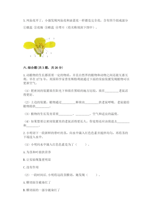 科学四年级下册第一单元《植物的生长变化》测试卷word版.docx
