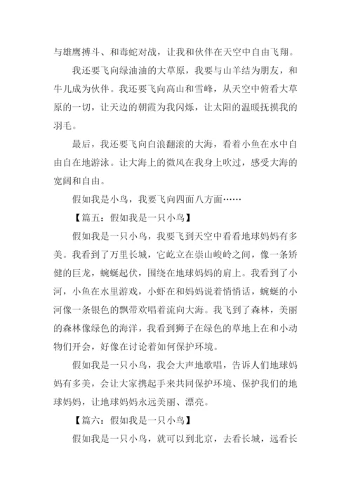 假如我是一只小鸟作文200字.docx