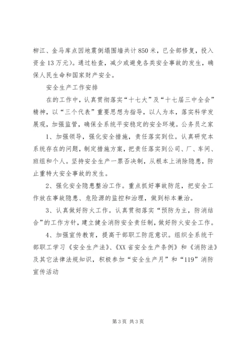 粮食局安全生产总结及工作计划.docx