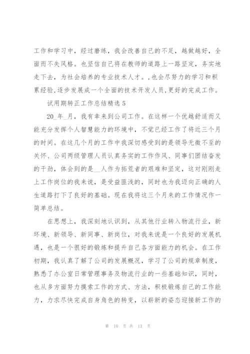 试用期转正工作总结.docx