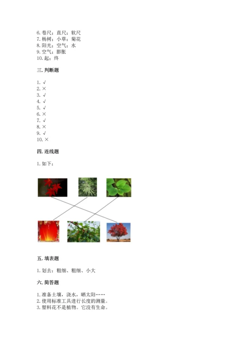 教科版科学一年级上册期末测试卷附答案【实用】.docx