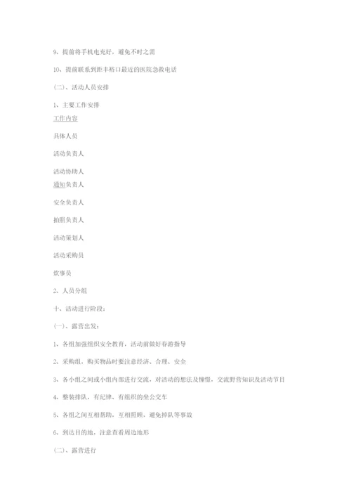 大学生踏青活动方案.docx