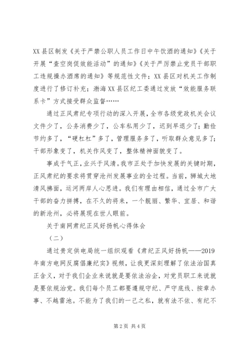 关于南网肃纪正风好扬帆心得体会.docx