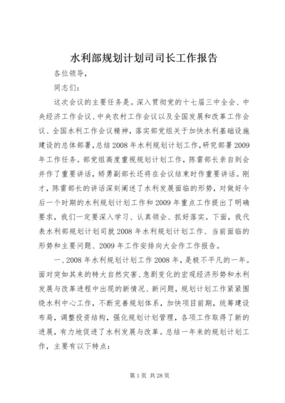 水利部规划计划司司长工作报告 (2).docx