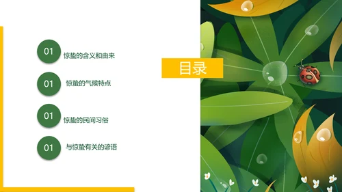 七星瓢虫惊蛰PPT模板