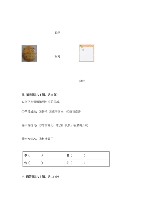 教科版科学二年级上册《期末测试卷》（满分必刷）.docx