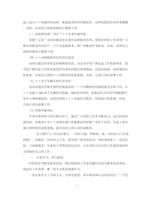 精编之实习期个人工作总结模板.docx