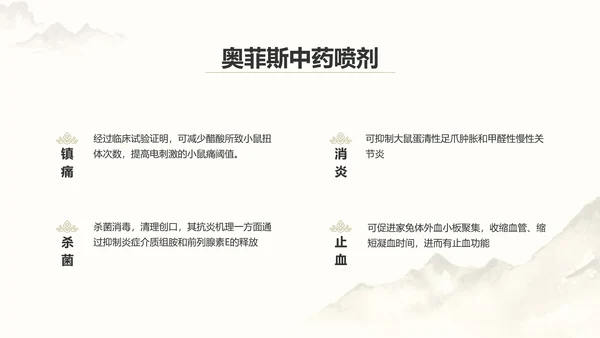 中国风中医药医疗保健产品介绍