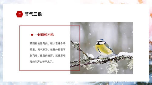 白色简约实拍雪景中国传统节气大雪节气介绍PPT