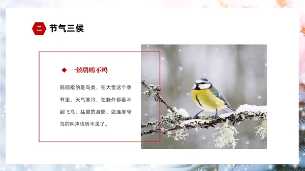 白色简约实拍雪景中国传统节气大雪节气介绍PPT