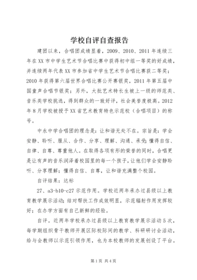 学校自评自查报告 (4).docx