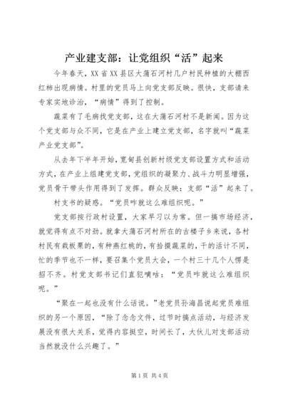 产业建支部：让党组织“活”起来.docx