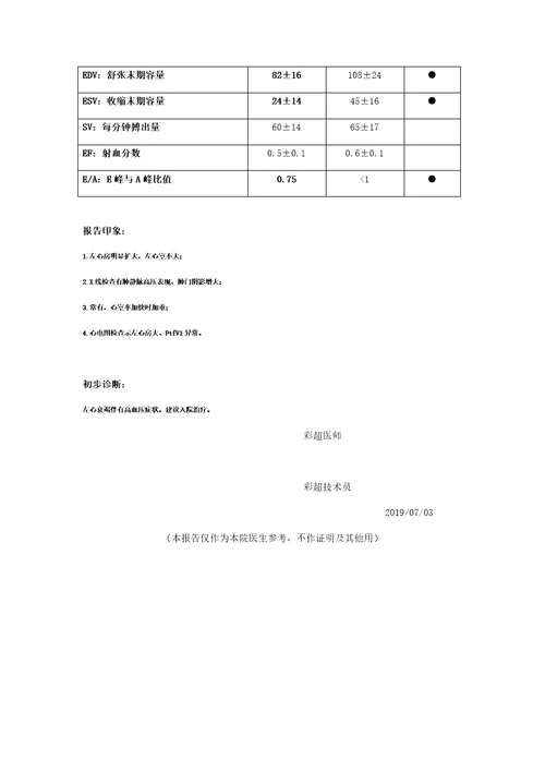 心脏彩超检测报告共2页