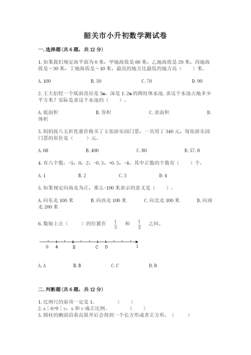 韶关市小升初数学测试卷完美版.docx