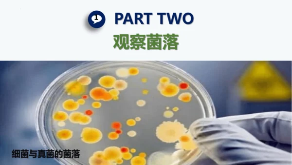 人教版生物七年级上册2.3.1《微生物的分布》课件(共22张PPT)+视频素材