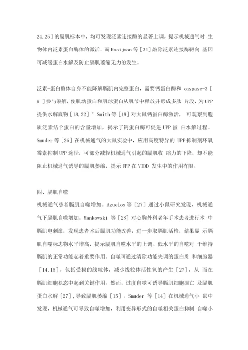 2022呼吸机相关膈肌功能障碍的主要发病机制2.docx