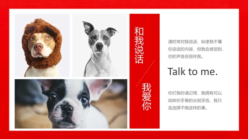丑萌的小狗狗宠物通用PPT模板