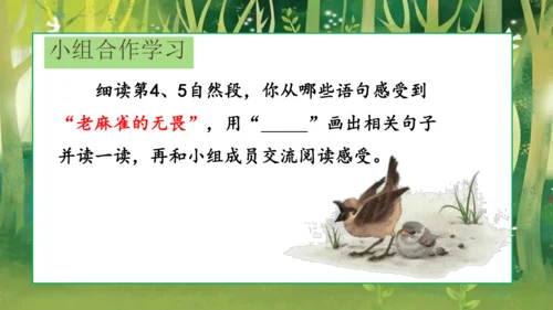 16 麻雀   课件