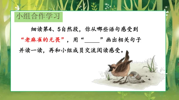 16 麻雀   课件