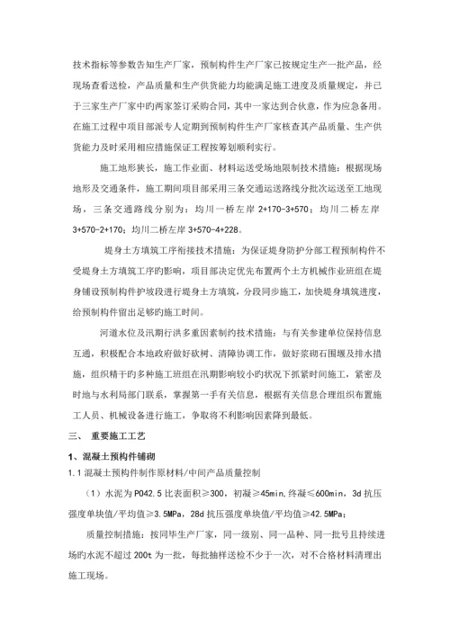 堤身防护综合施工专题方案.docx