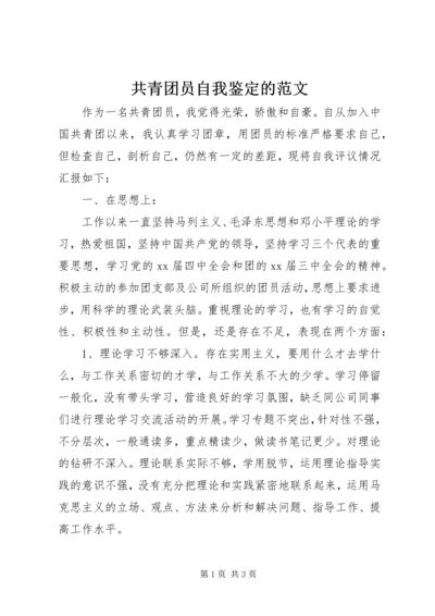 共青团员自我鉴定的范文.docx