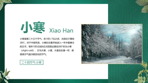 绿色花卉古风传统二十四节气科普主题教育PPT模板