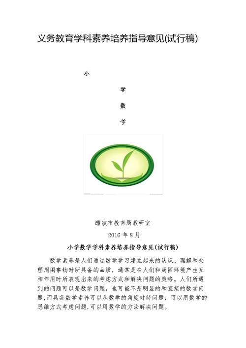 小学数学学科素养培养指导意见（试行稿）