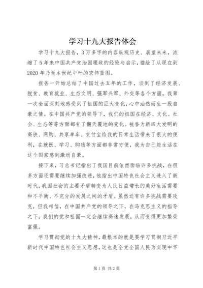 学习十九大报告体会 (10).docx